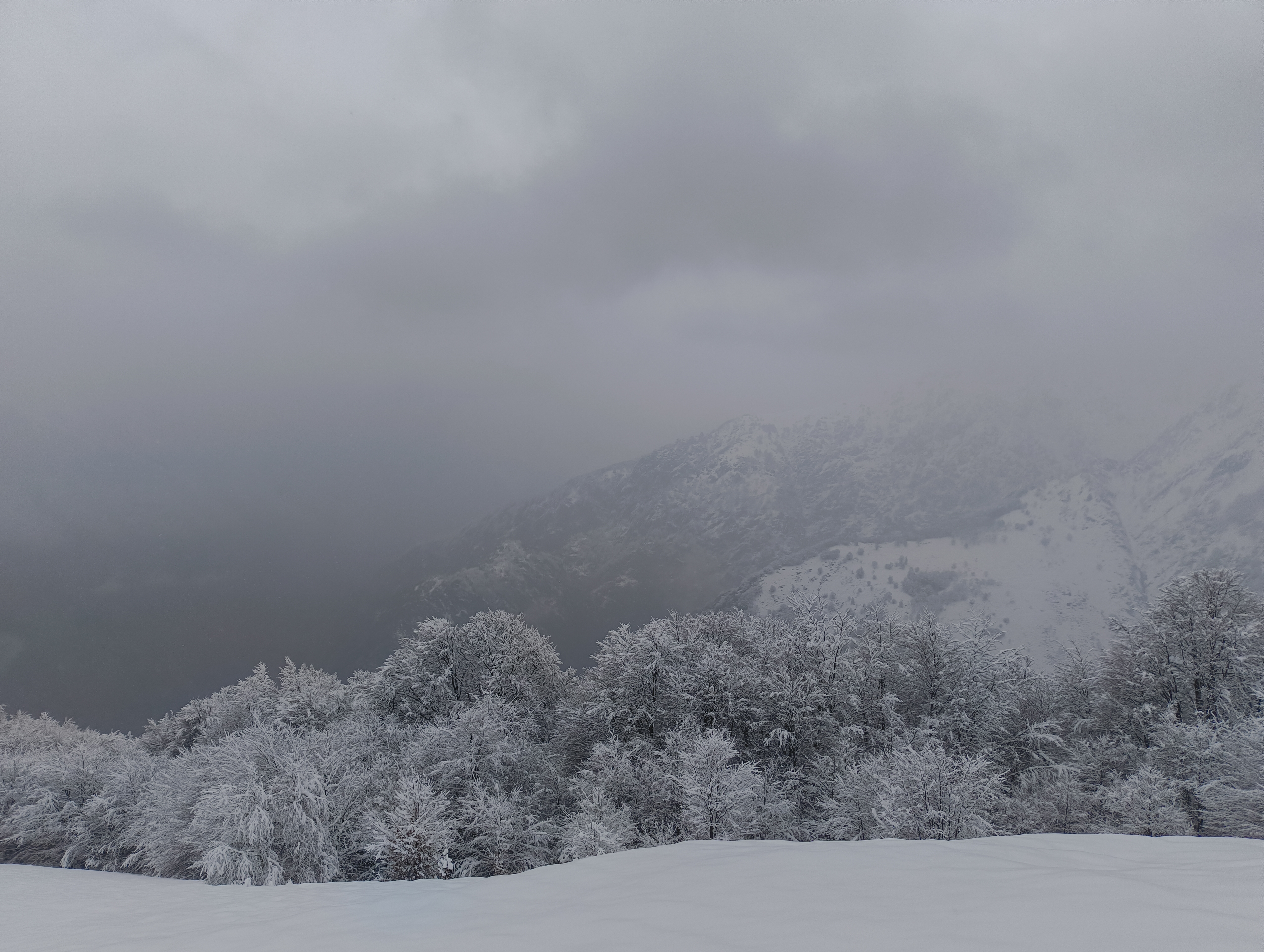 Foto n° 21 del trekking Bivacco del Gufo - Pizzo Pernice │ Alpe Curgei